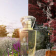 50 ml