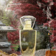 50 ml